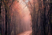 足球直播在线观看-西班牙网球队逆转英国网球队，阿尔卡拉斯高光表现引爆赛场