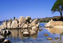 体育直播-欧洲网球队逆转美国队,阿尔卡拉斯创造历史新纪录