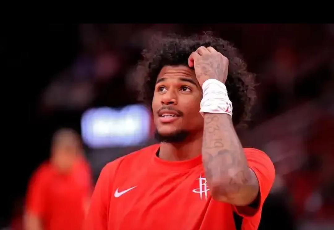 关于国王强势鹈鹕，杰伦·布朗高光表现的信息