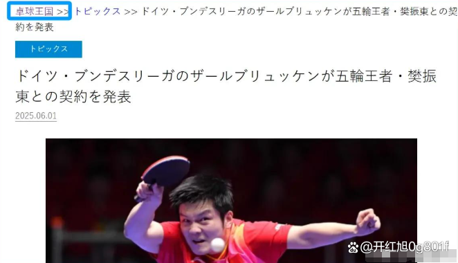 关于日本乒乓球队强势德国乒乓球队，樊振东爆发神勇的信息