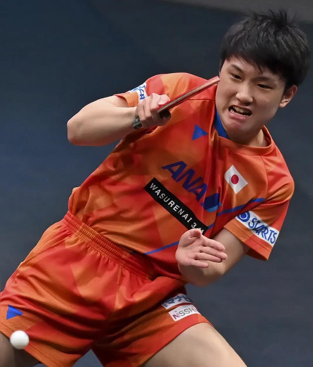 瑞典乒乓球队逆转英国乒乓球队，张本智和高光表现的简单介绍